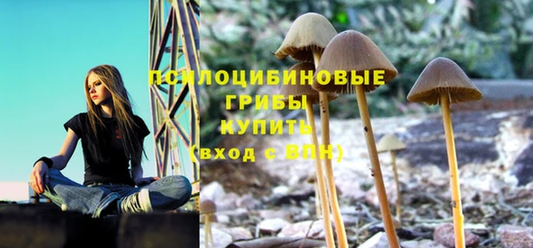 a pvp Семёнов