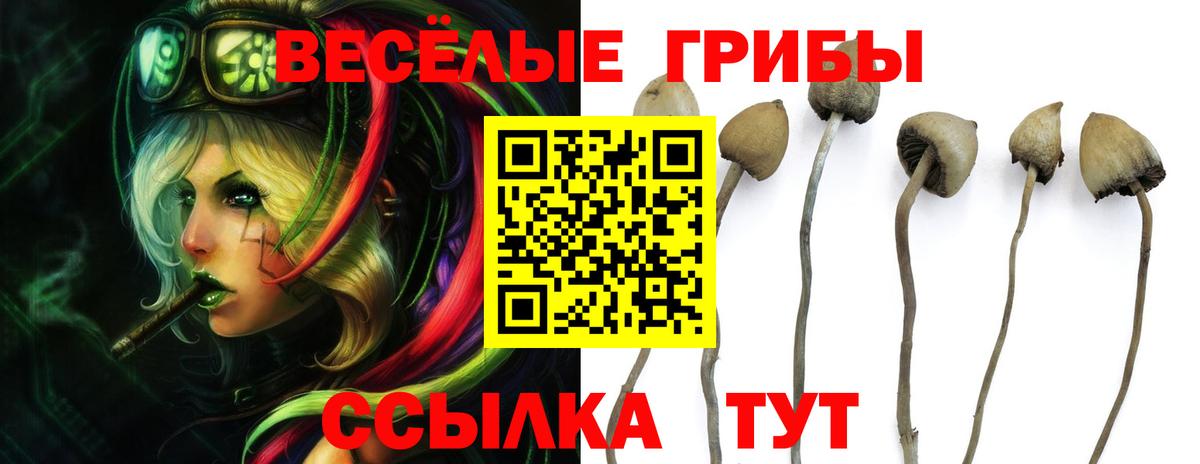 Галлюциногенные грибы Magic Shrooms Тулун